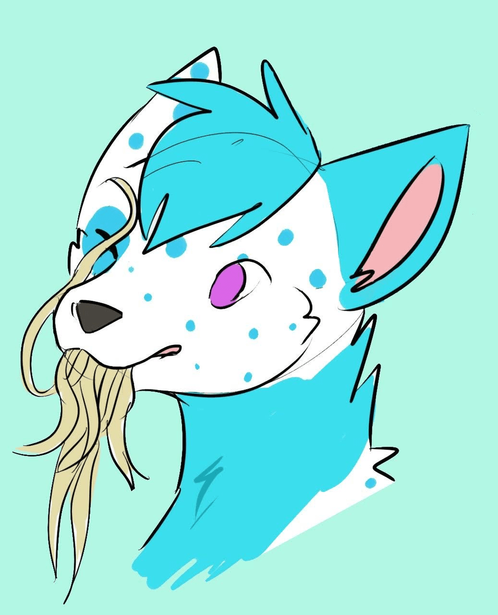 Noodle to the eyeball